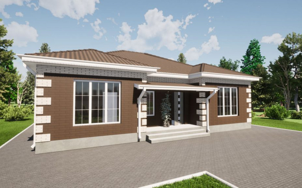 Проект D - 223