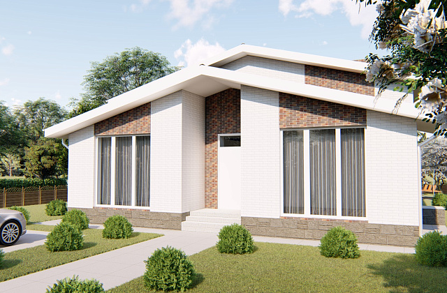 Проект D - 161