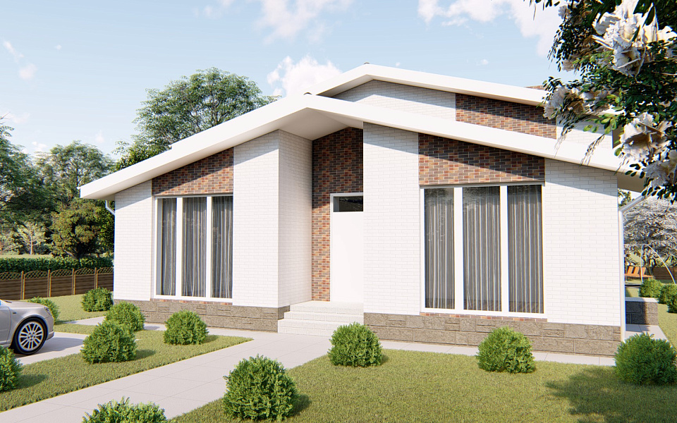 Проект D - 161