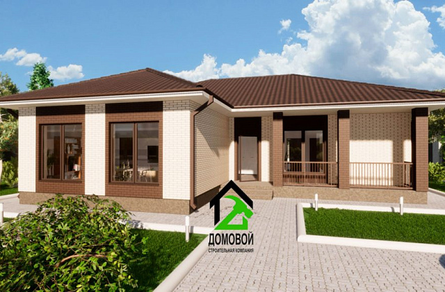 Проект D - 217