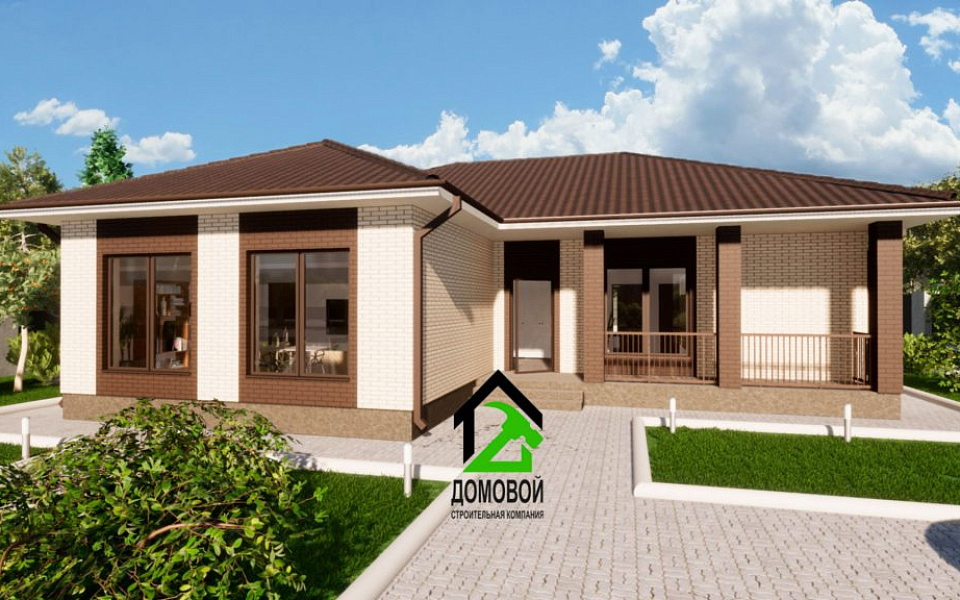 Проект D - 217