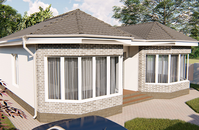 Проект D - 118