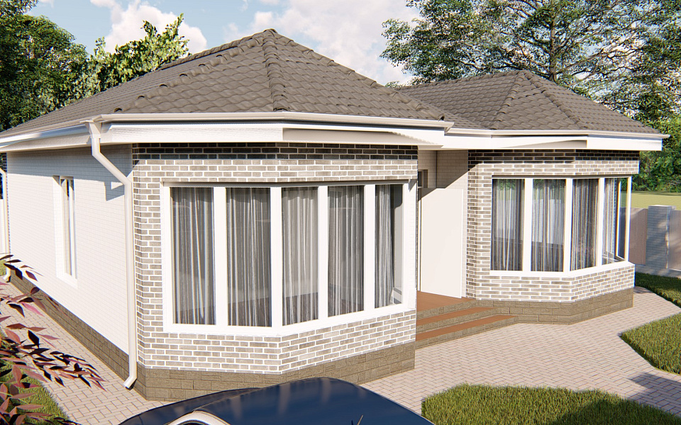 Проект D - 118