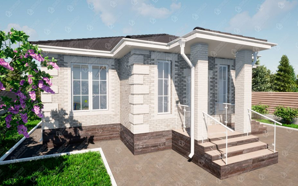 Проект D - 197