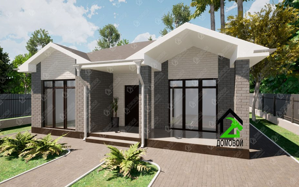 Проект D - 205