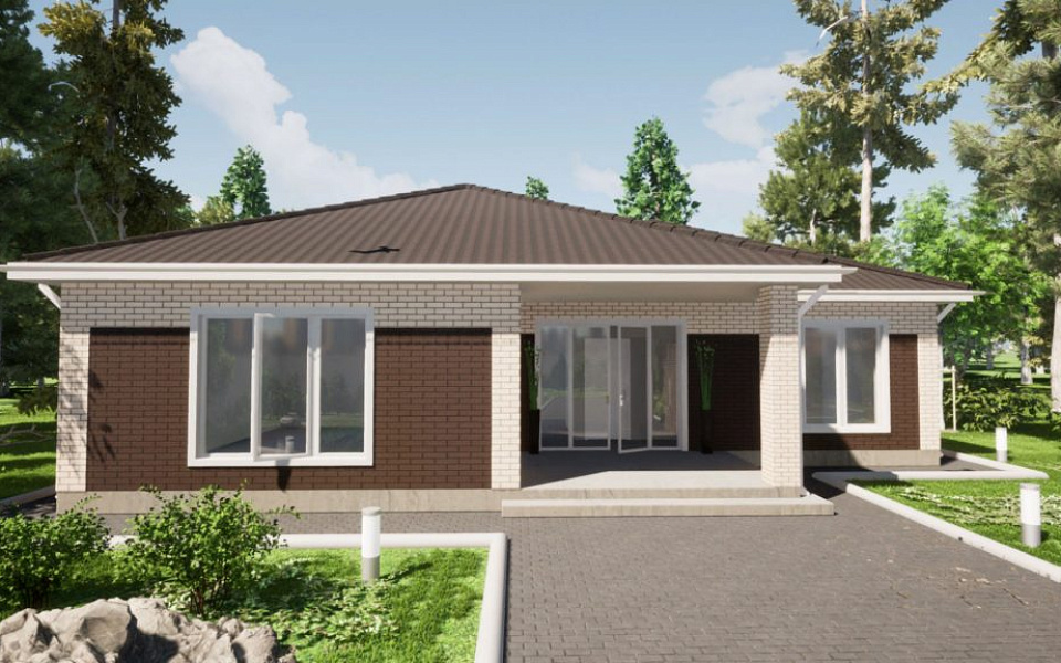 Проект D - 215