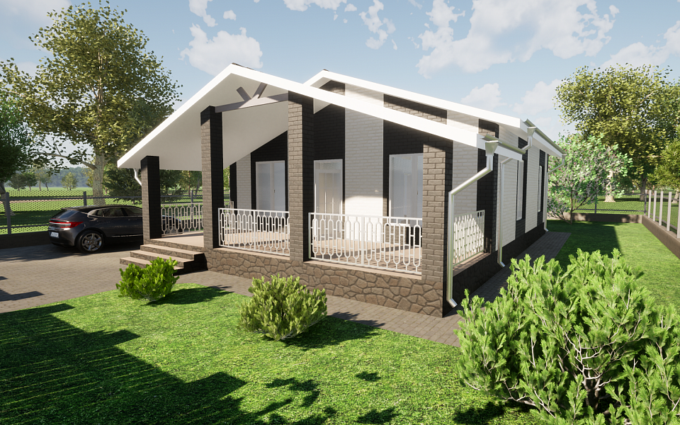 Проект D - 133