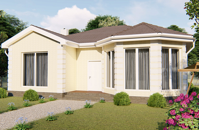 Проект D - 119