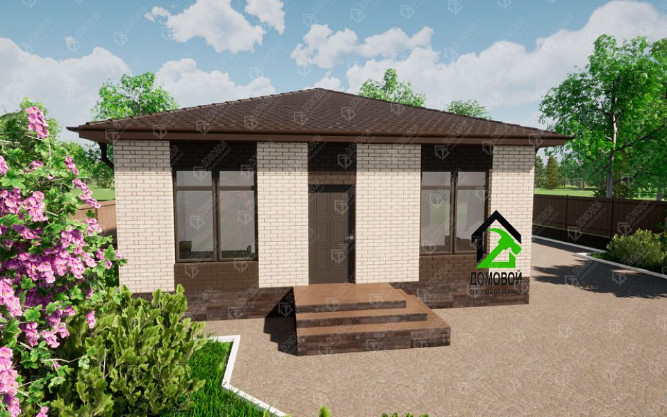 Проект D - 204