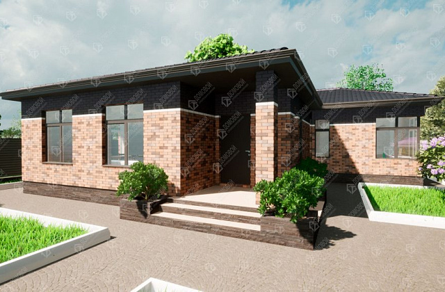 Проект D - 100