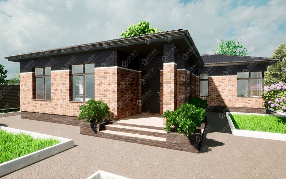 Проект D - 100