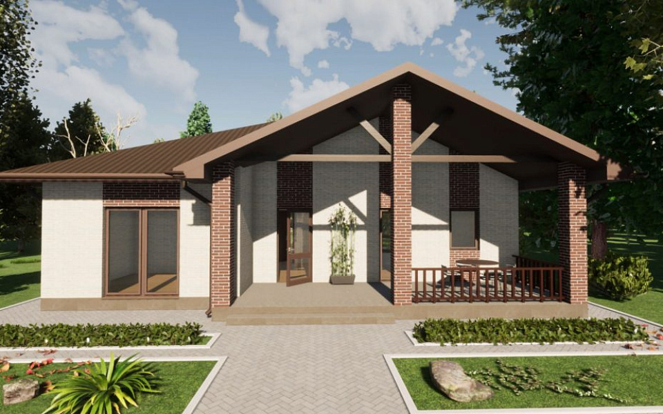 Проект D - 213