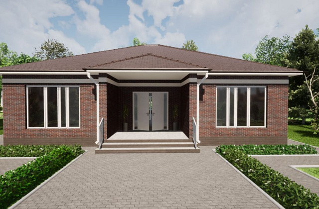 Проект D - 219