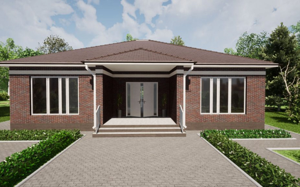 Проект D - 219