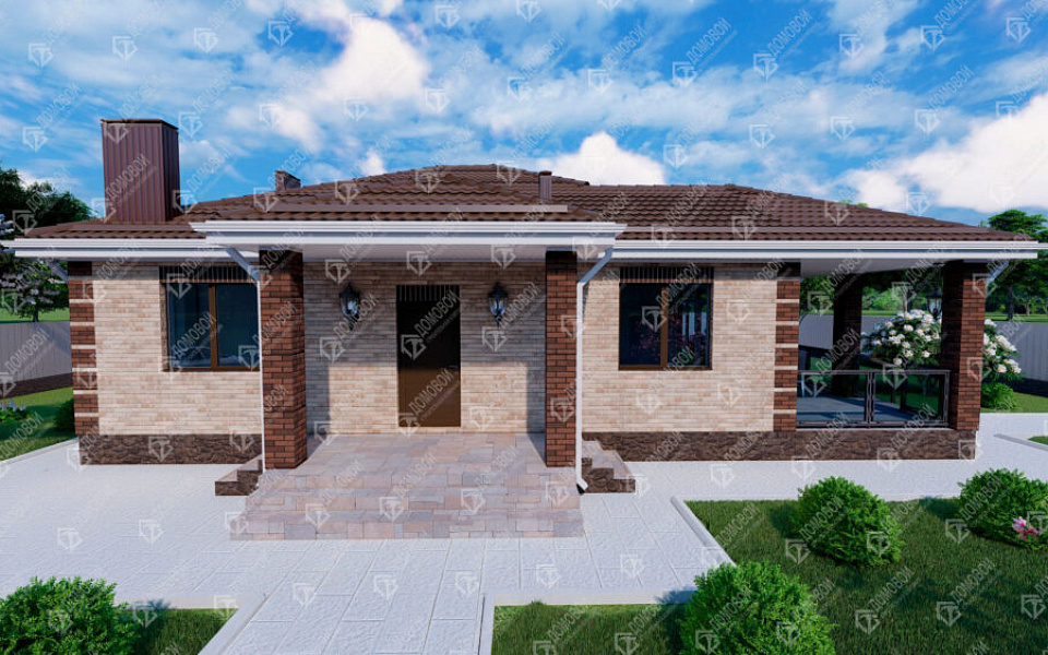 Проект D - 237