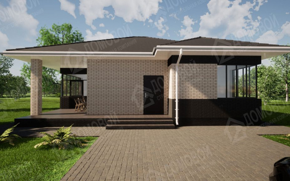 Проект D - 233