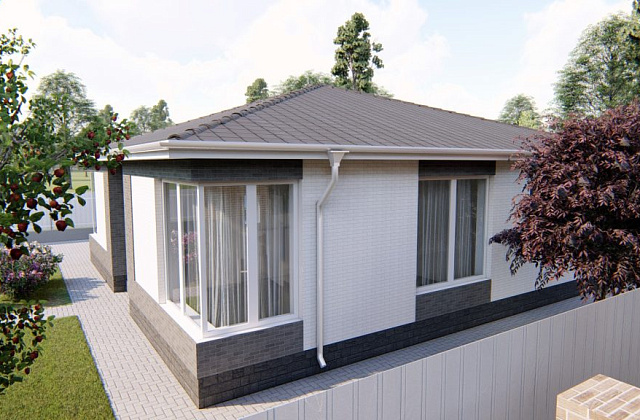 Проект D - 113