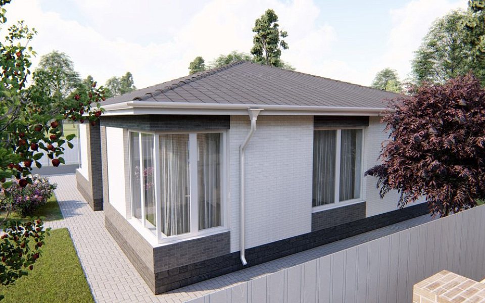 Проект D - 113