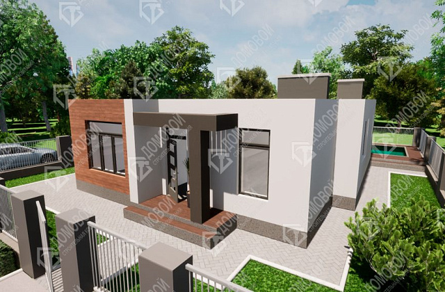 Проект D - 236