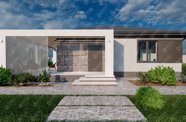 Проект D - 302